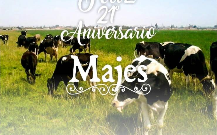 FELIZ ANIVERSARIO MAJES